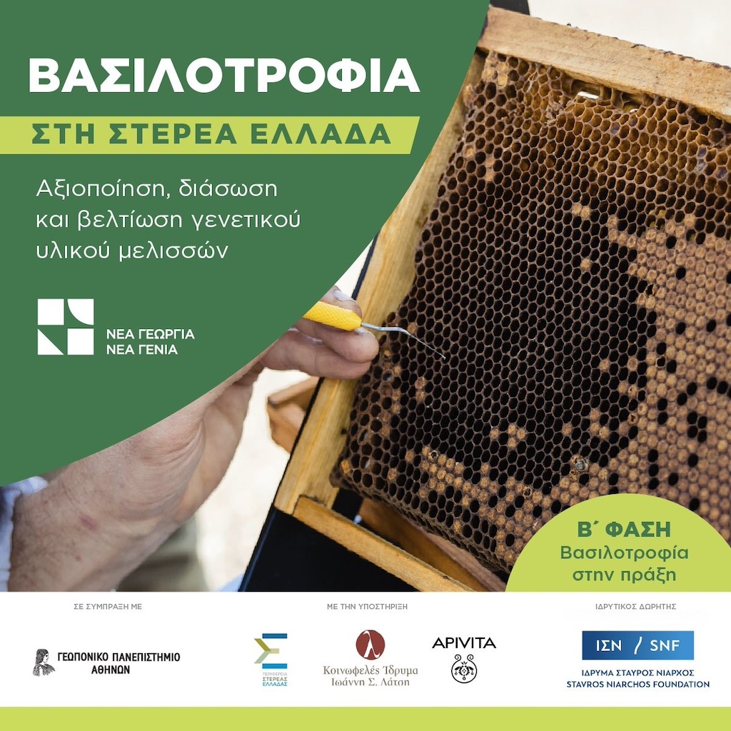 Διάσωση και βελτίωση γενετικού υλικού μελισσών με το πρόγραμμα "Βασιλοτροφία στην πράξη"