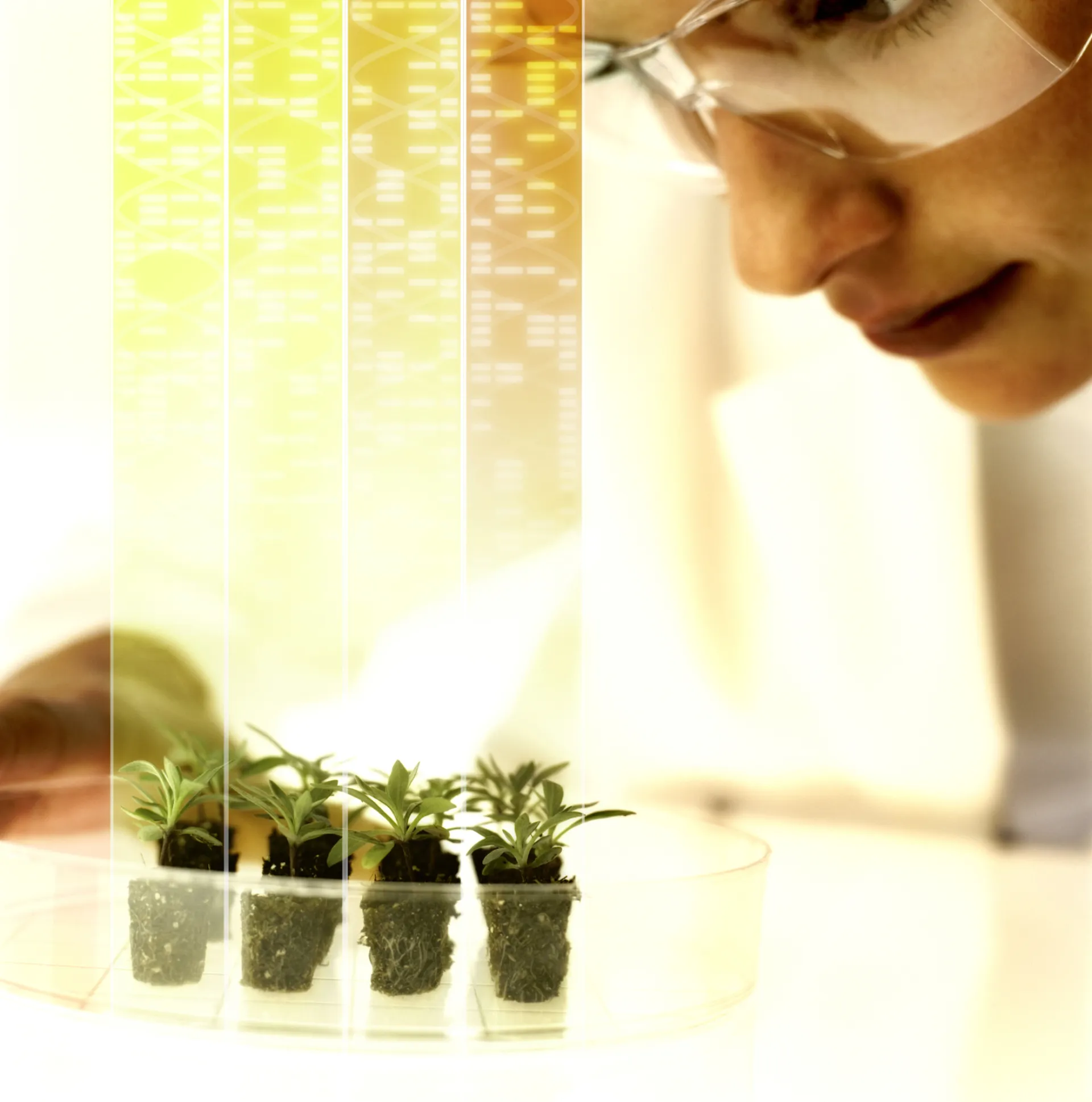 Η Bayer προσφέρει εργαλείο στην αγροτική κοινότητα