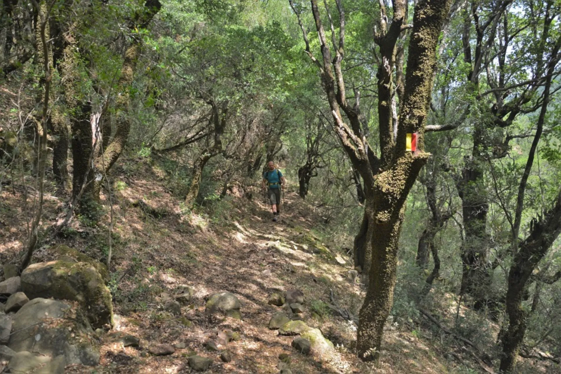 Στρατηγική συνεργασία NAK  & Terra Pindus 