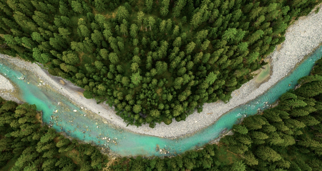 We4all Green Future: Όταν η εκπαίδευση ριζώνει, το μέλλον ανθίζει