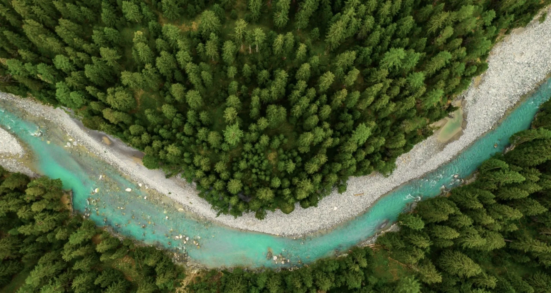 We4all Green Future: Όταν η εκπαίδευση ριζώνει, το μέλλον ανθίζει