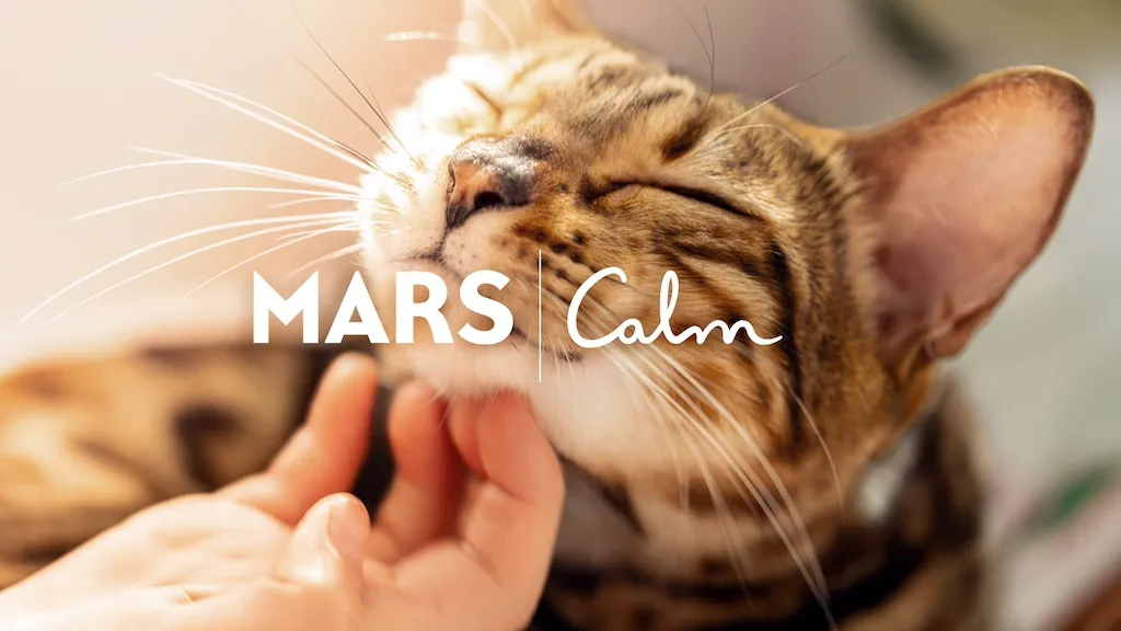 Mars & Pet City: Μαζί για την υιοθεσία αδέσποτων ζώων