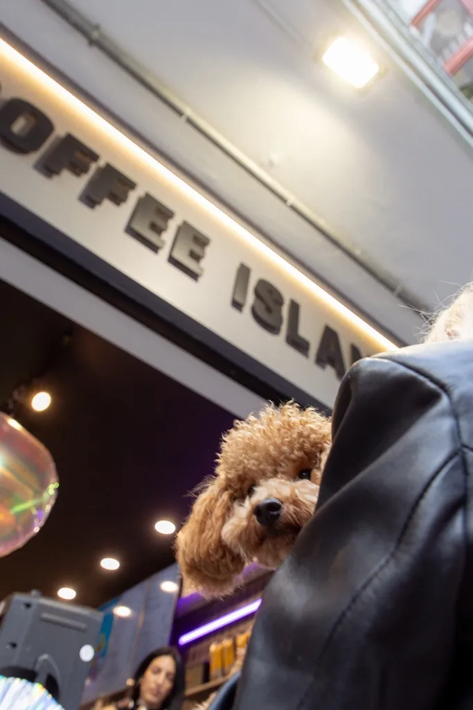 Coffee Island & Viozois: Pet corners σε επιλεγμένα καταστήματα 