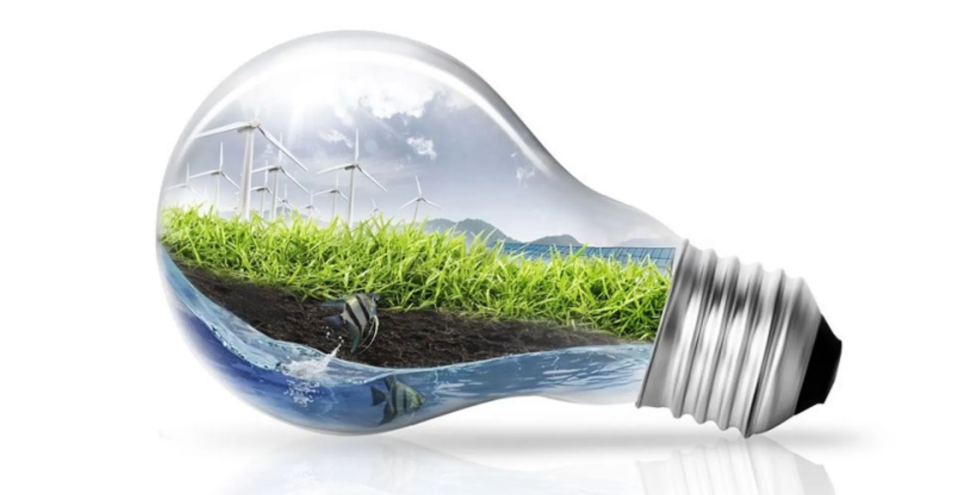 “Αειφόρος κατανάλωση και παραγωγή” στην Παγκόσμια Ημέρα Περιβάλλοντος