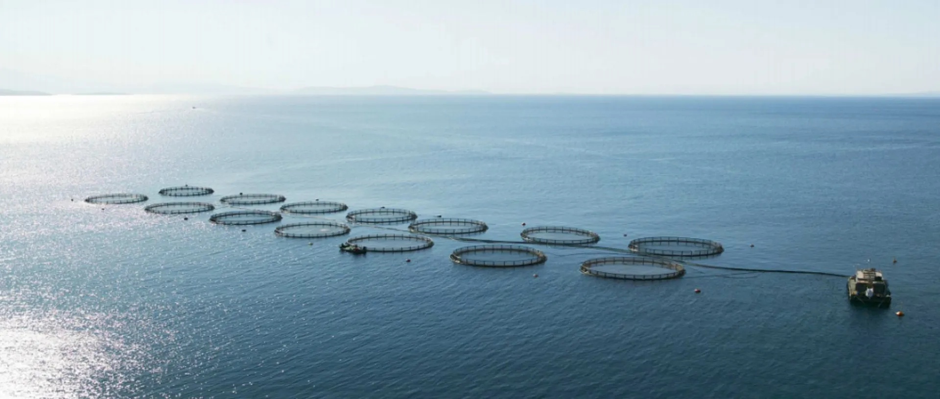 ΝΗΡΕΑΣ: Βελτίωση Υπεύθυνης Υδατοκαλλιέργειας