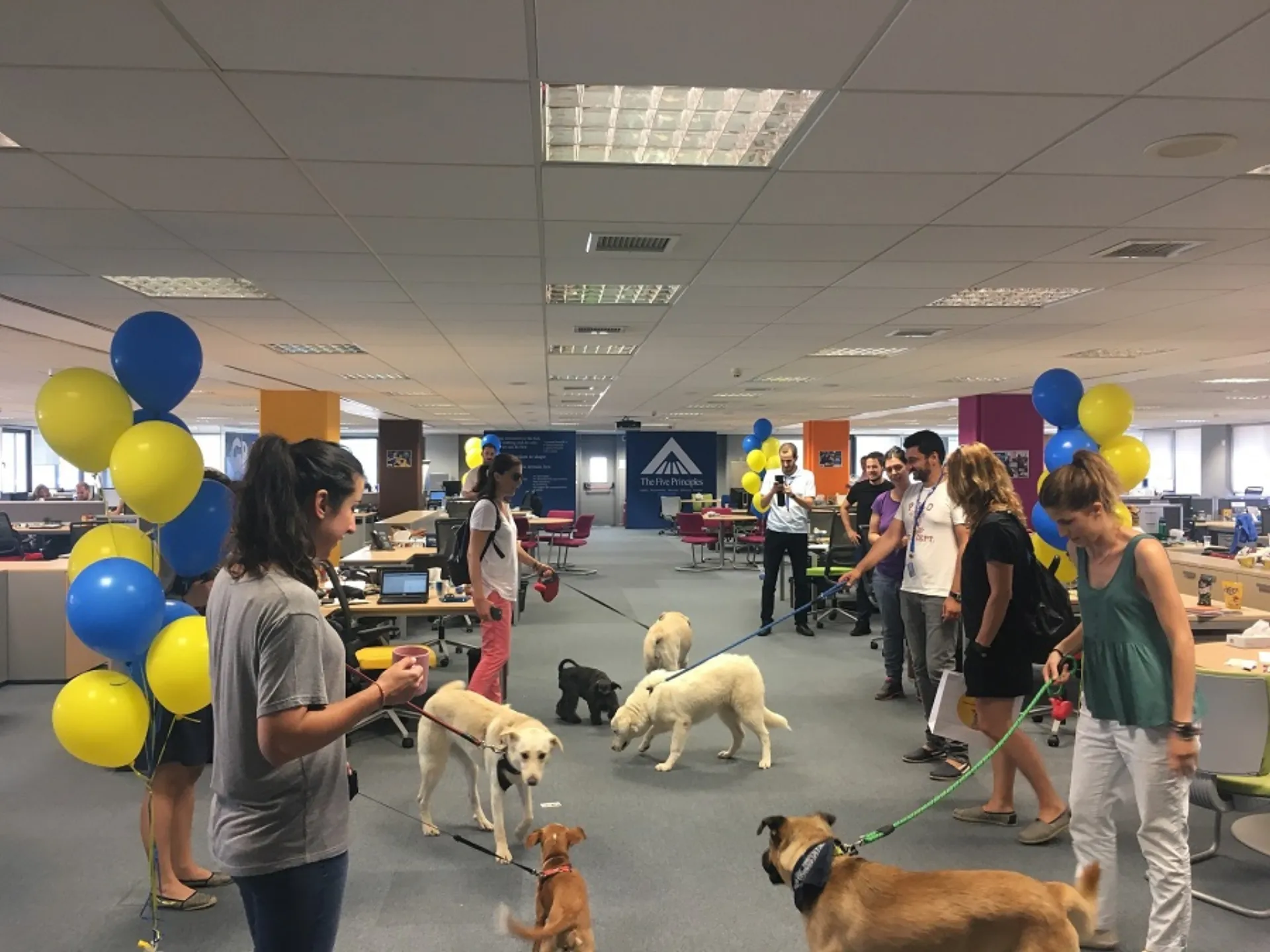 Η Mars Hellas γιόρτασε τον διεθνή θεσμό  ‘Take Your Dog To Work Week™’  με την πιο κεφάτη τετράποδη παρέα!