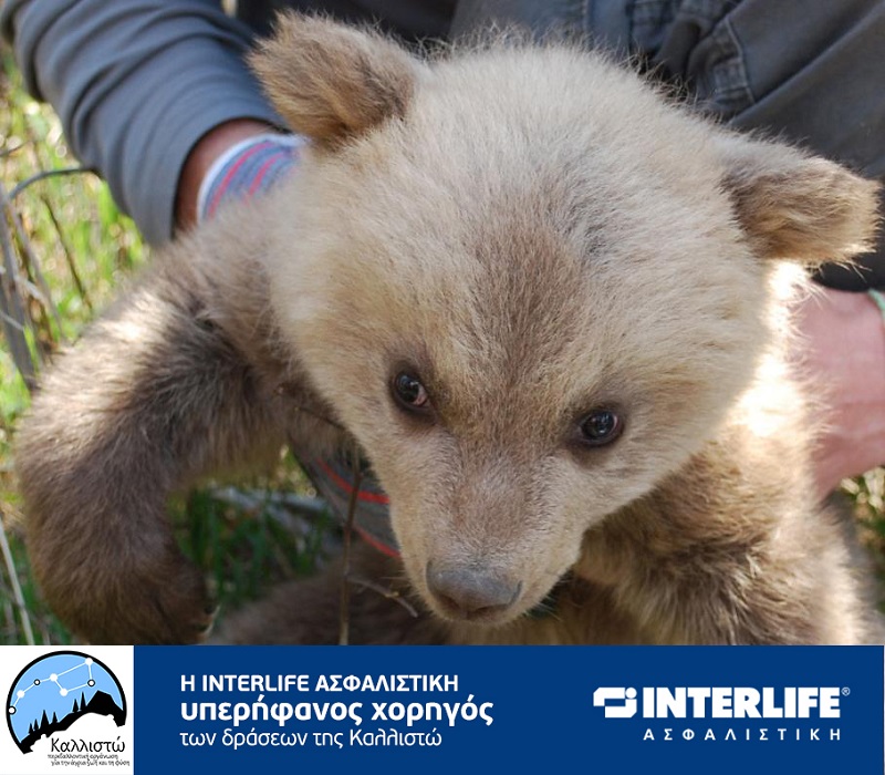 Πολυετής χορηγία της INTERLIFE στην Περιβαλλοντική Οργάνωση ΚΑΛΛΙΣΤΩ