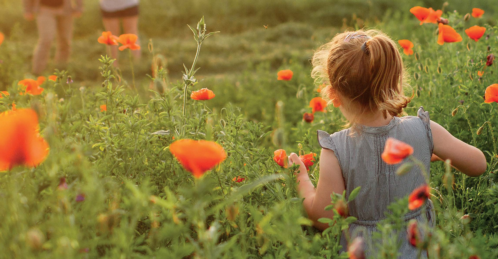 MSD Ελλάδος: Έκθεση ΕΚΕ 2015 – 2016 στα πρότυπα GRI G4