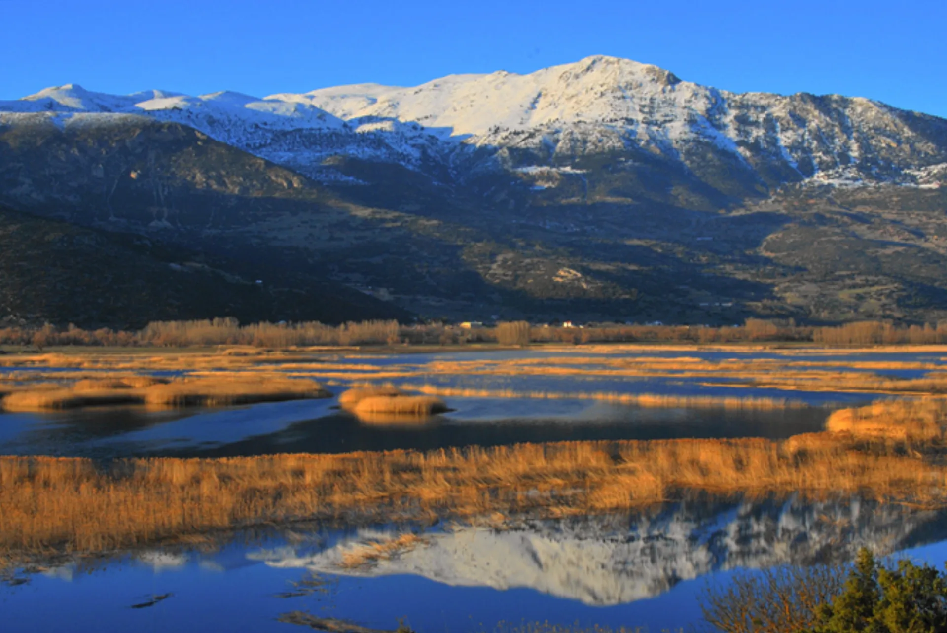 Τρ.Πειραιώς: Κοπή καλαμιών για τη αποκατάσταση της Στυμφαλίας