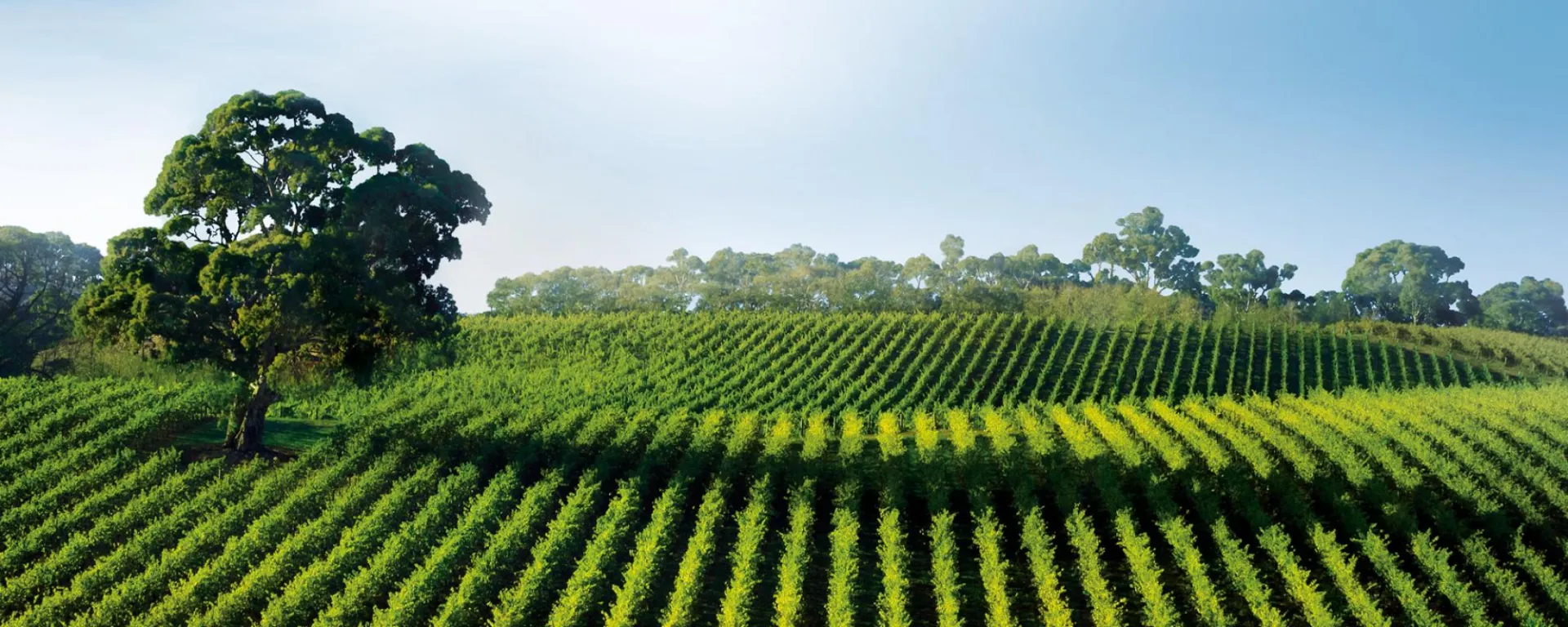 Μέχρι 12/1/2018 οι προτάσεις για τα Ευρωπαϊκά Βραβεία Περιβάλλοντος