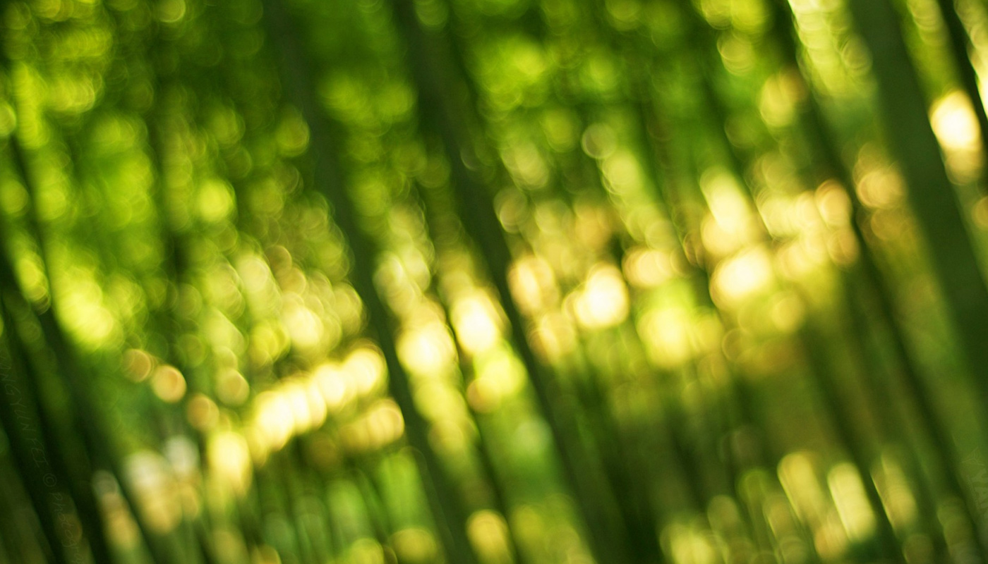 GREEN ANGELS: Βράβευση συνεργασίας με Εθνικό Μετσόβιο Πολυτεχνείο