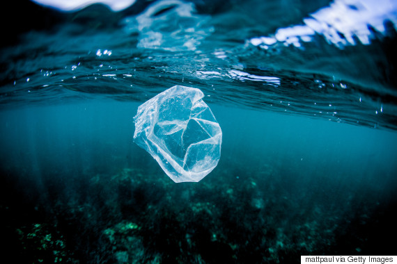 Μεσόγειος SOS: Στη Σκιάθο για την πλαστική σακούλα