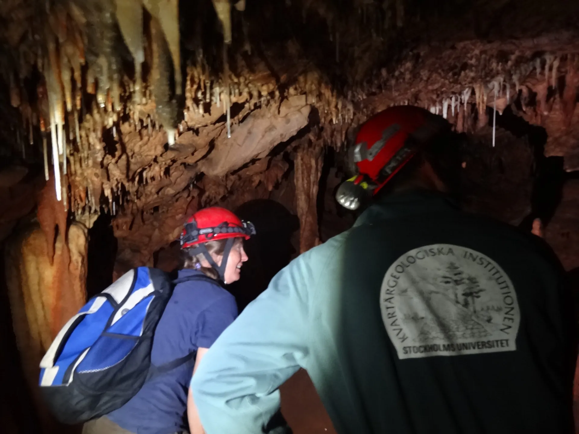Έρευνες από το Navarino Environmental Observatory (NEO)