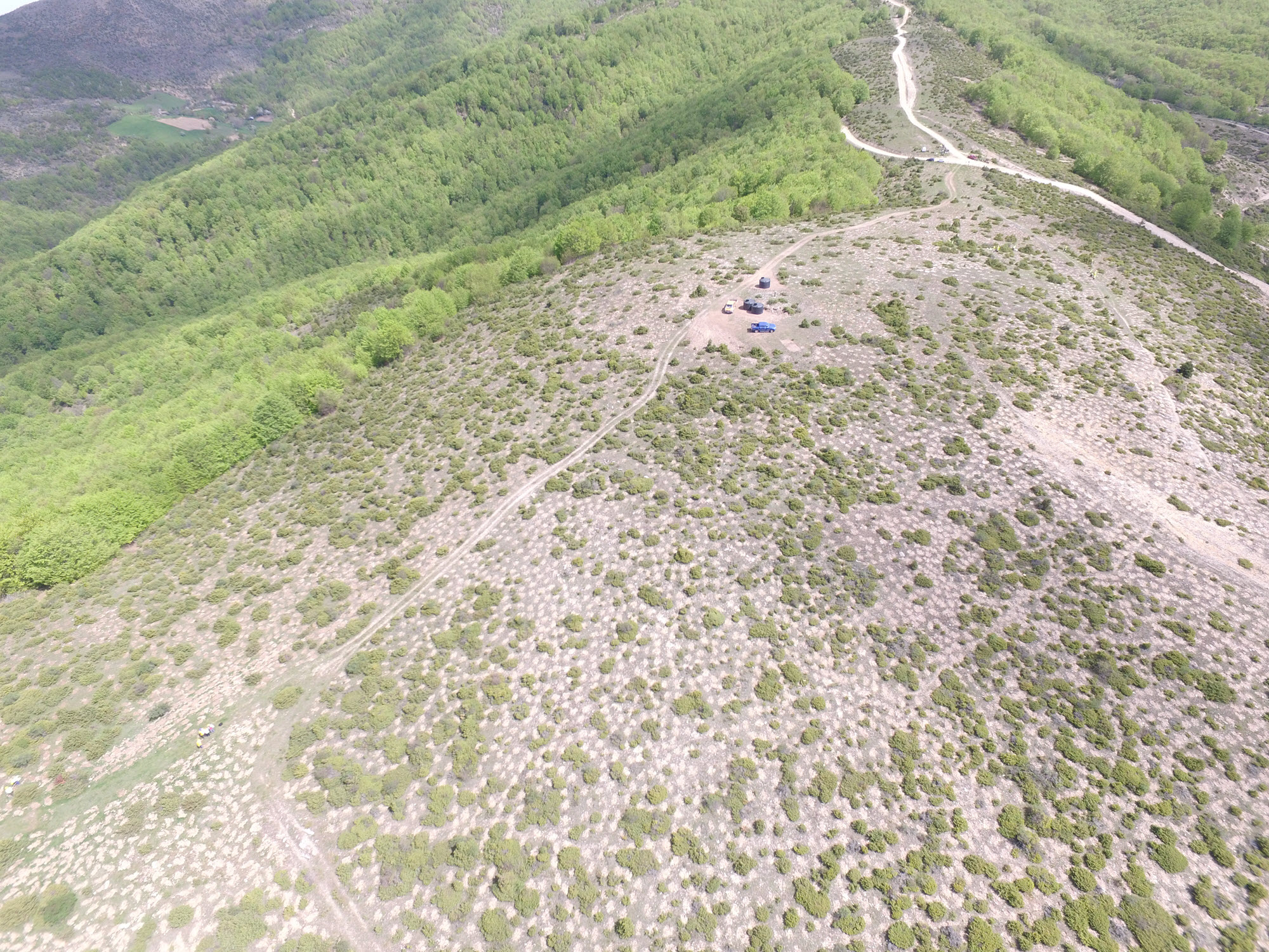 ΤΑΡ: Αναδάσωση στη Β.Ελλάδα με 400.000 δένδρα και θάμνους