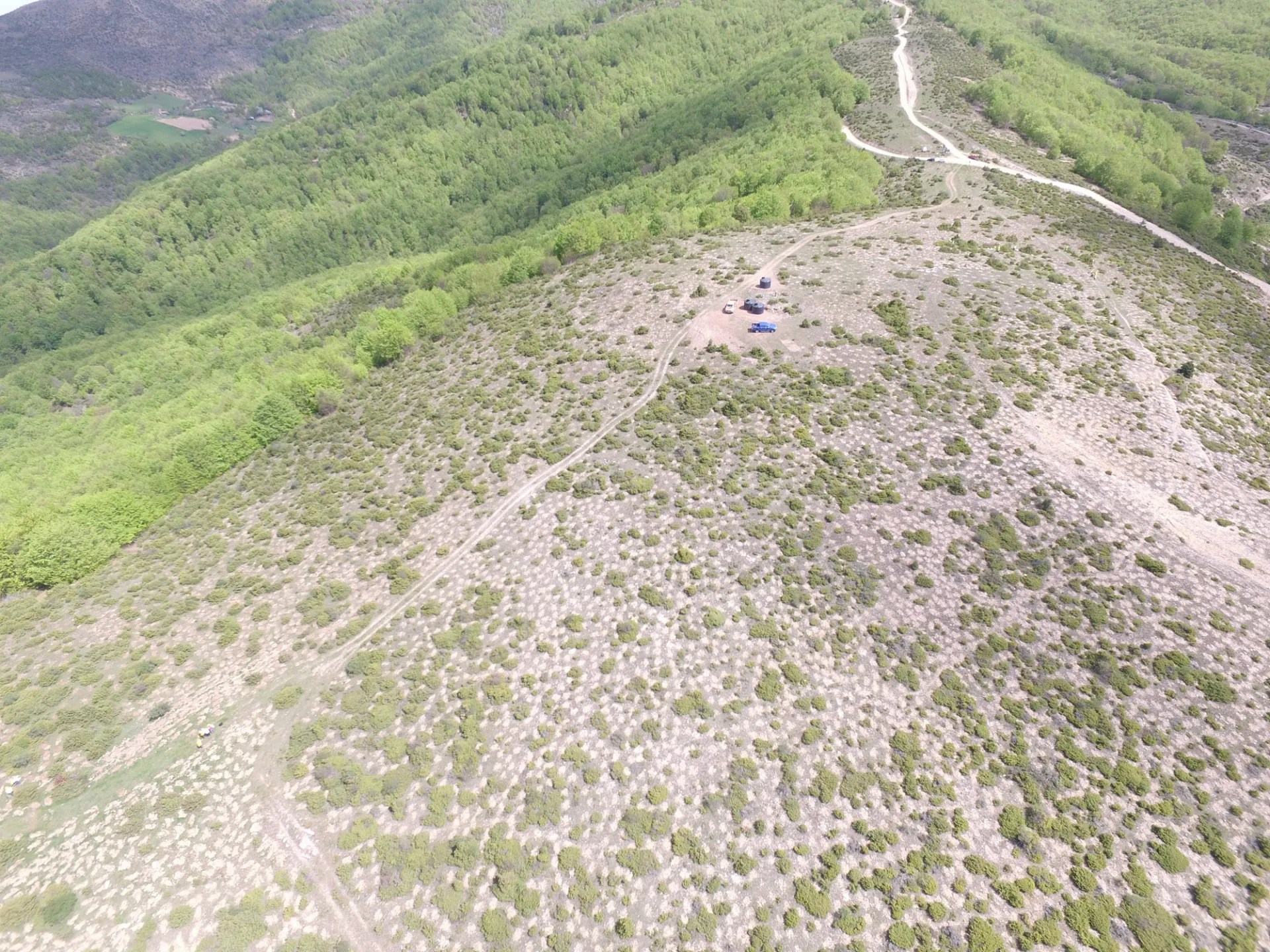 ΤΑΡ: Αναδάσωση στη Β.Ελλάδα με 400.000 δένδρα και θάμνους