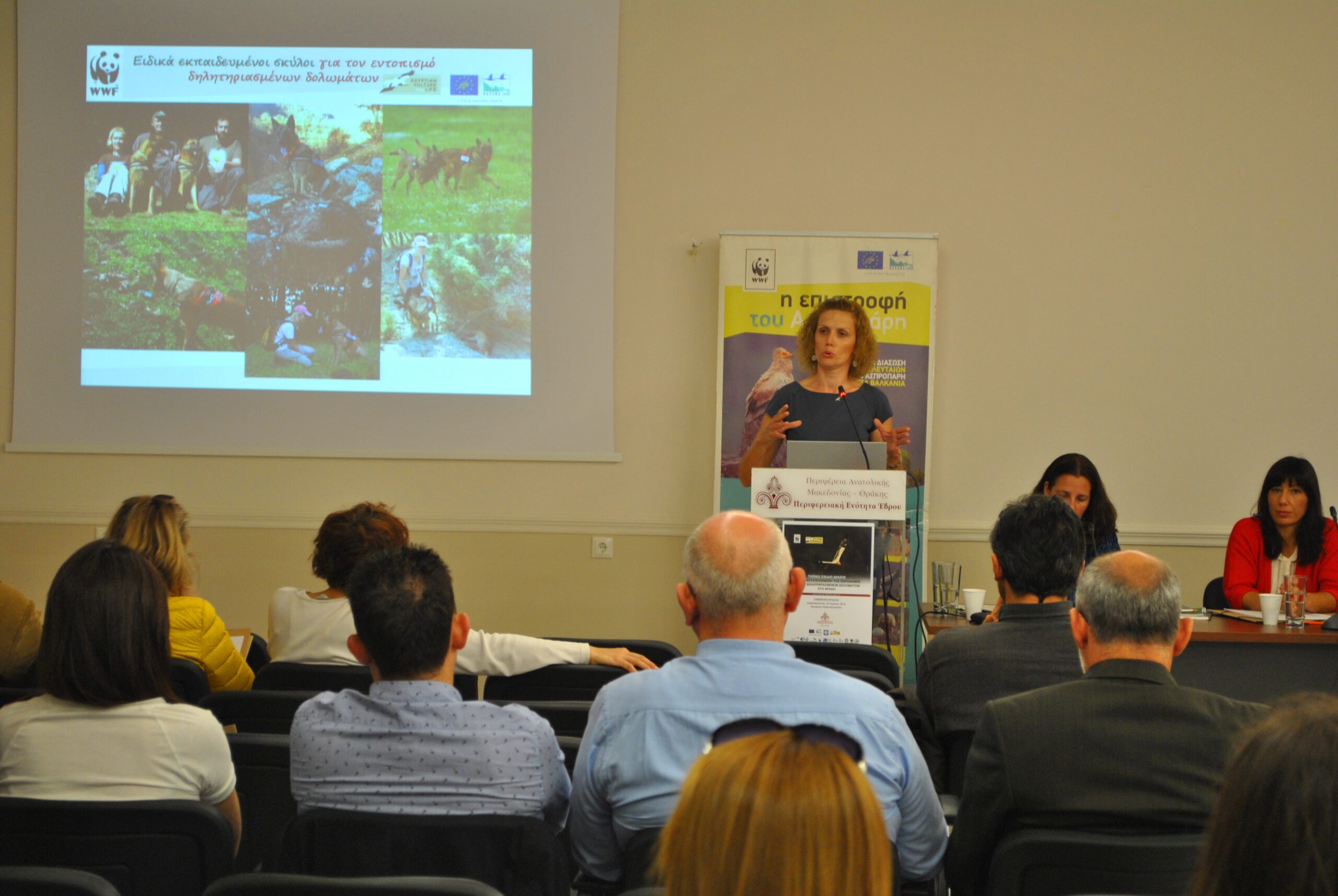 WWF: Ένα μεγάλο βήμα για τη σωτηρία του Ασπροπάρη