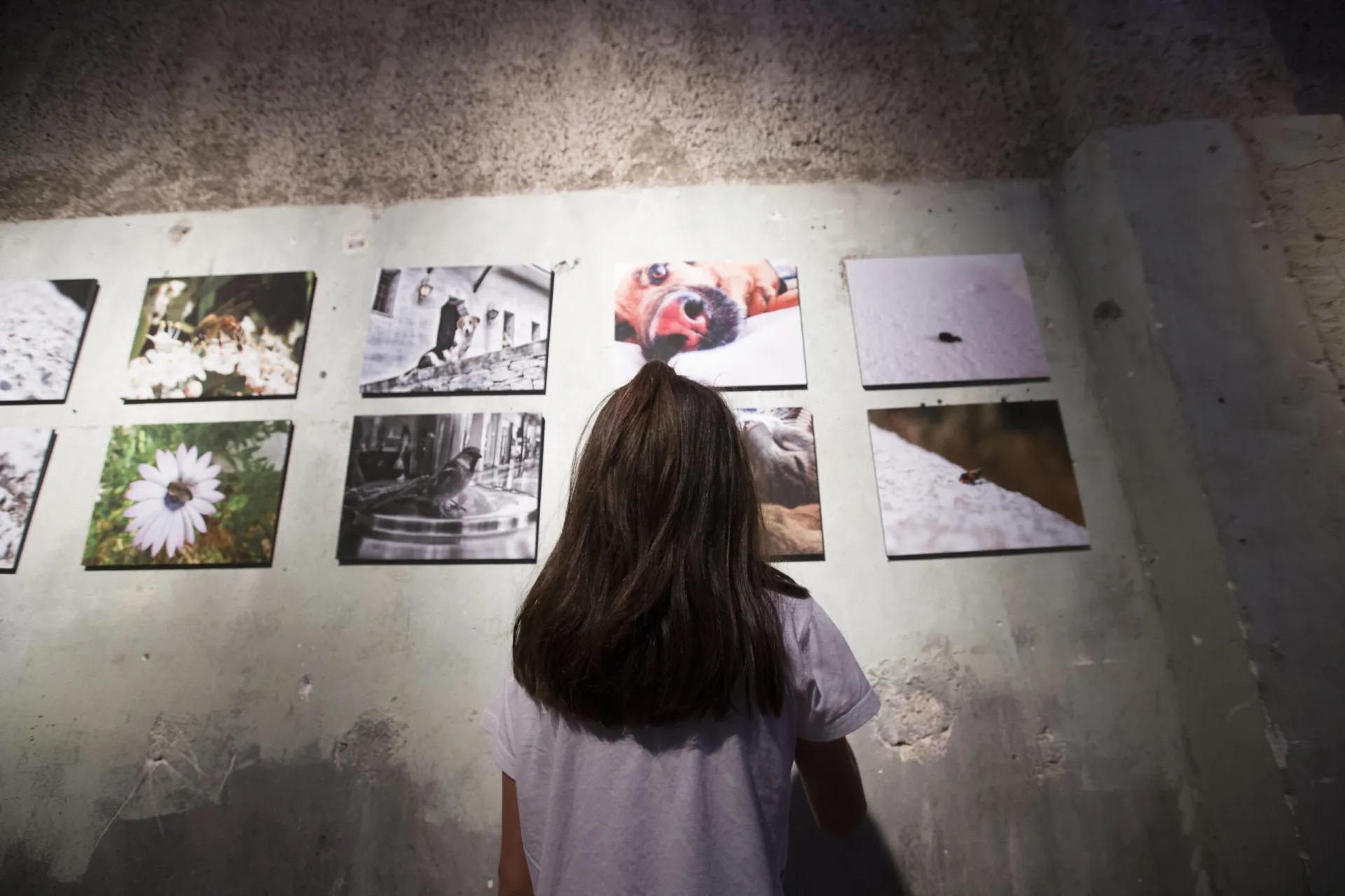 Έκθεση Φωτογραφίας του Παιδικού Χωριού SOS Βάρης