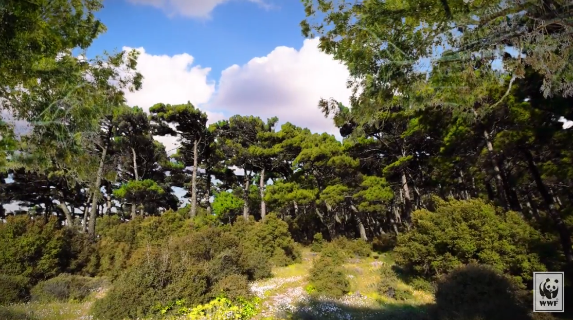 Η Φωτιά σε αφορά! Τι πρέπει να κάνεις