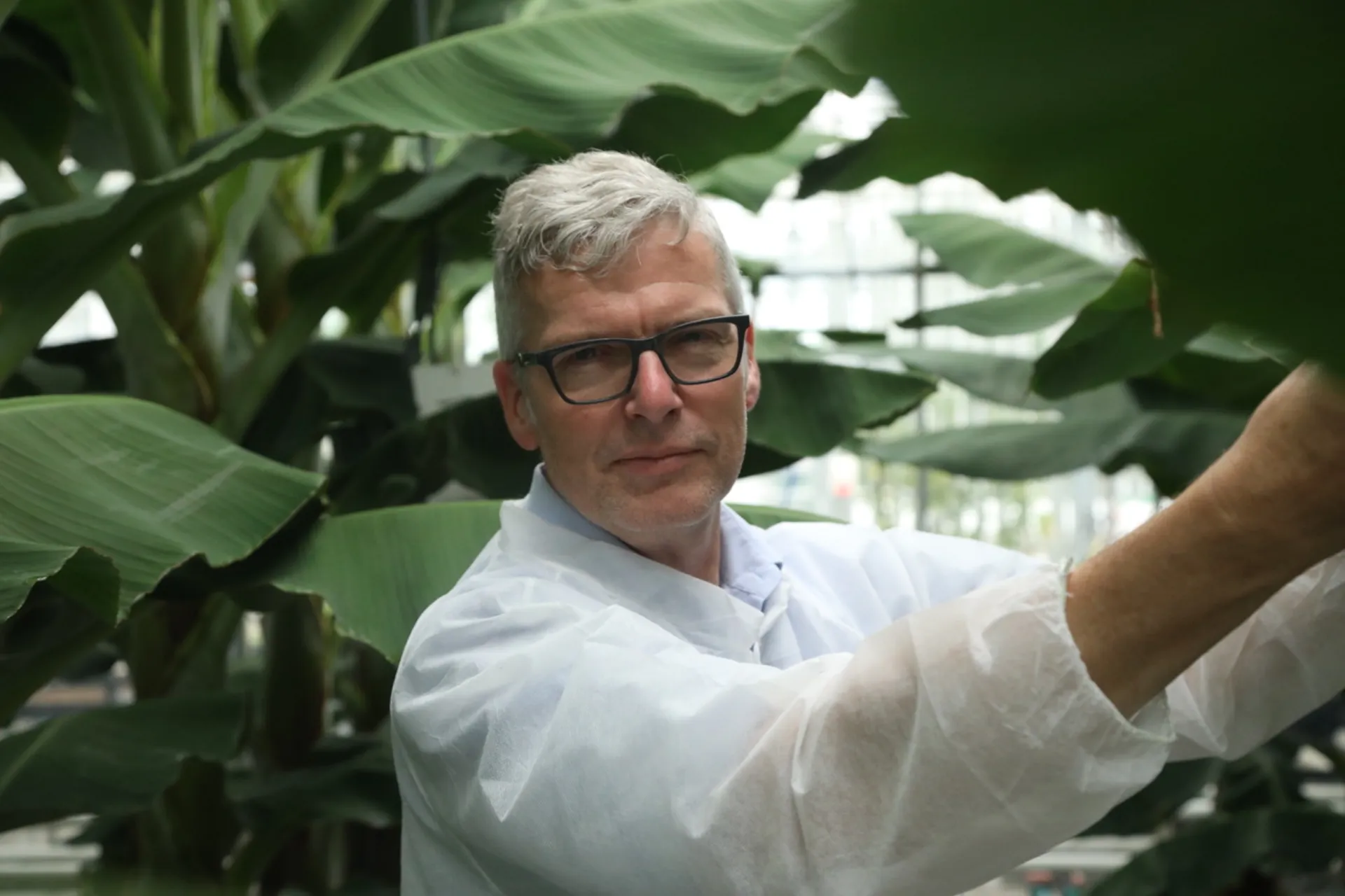 Συνεργασία Chiquita και Wageningen University & Research