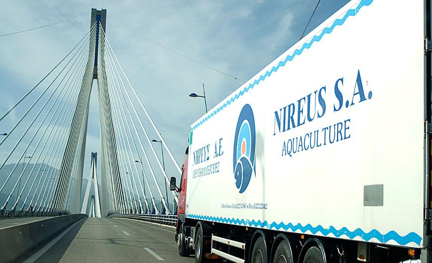 ΝΗΡΕΥΣ: Νέο πρότυπο Πιστοποίησης «Fish from Greece»