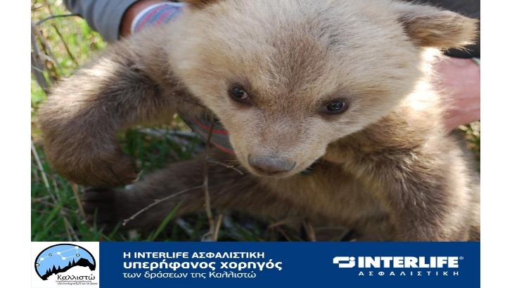 INTERLIFE: Πρόγραμμα ΕΚΕ σε συνεργασία με την ΚΑΛΛΙΣΤΩ