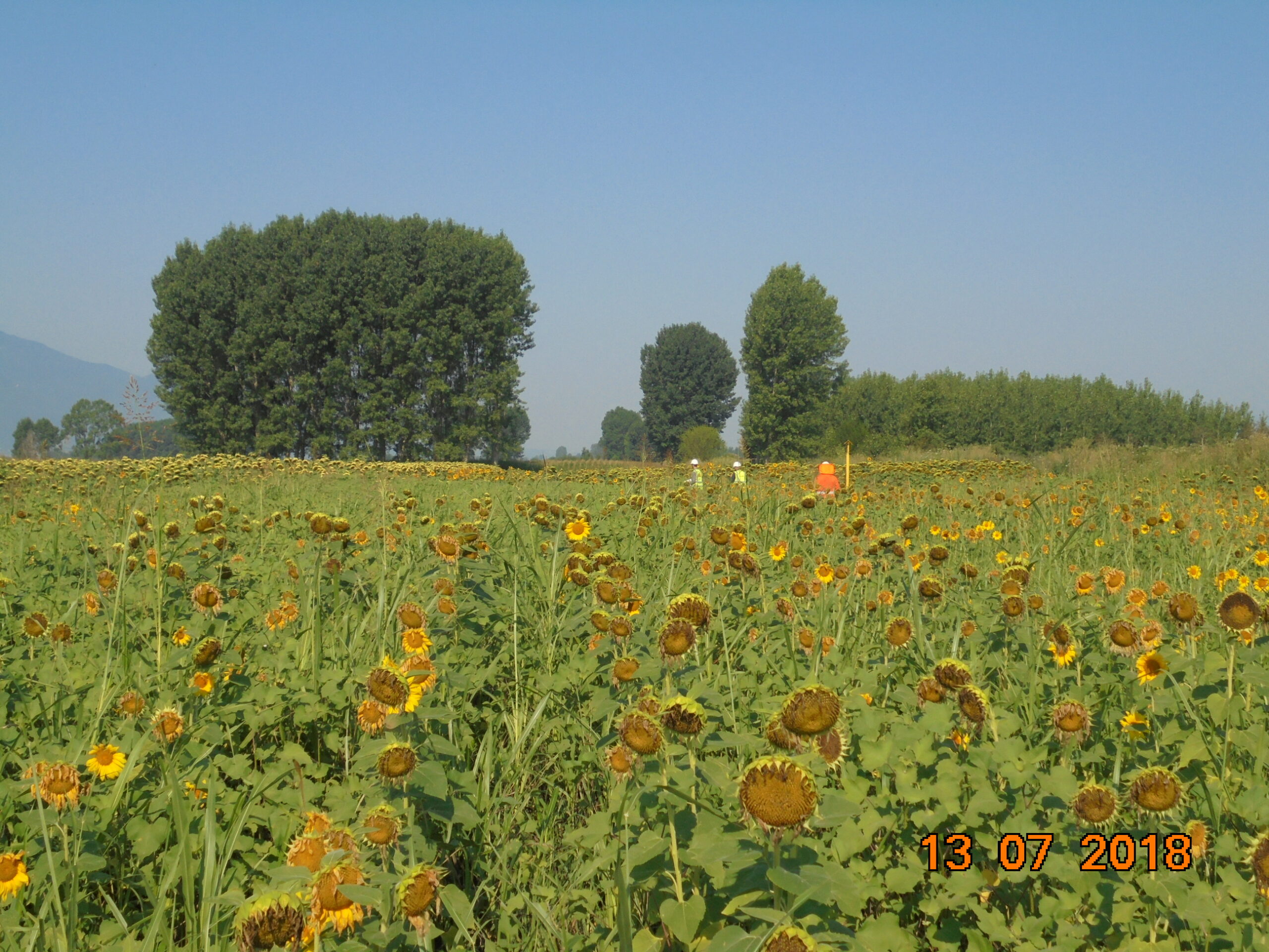 ΤΑP: Στο 98% η αποκατάσταση γης σε Α.Μακεδονία-Θράκη