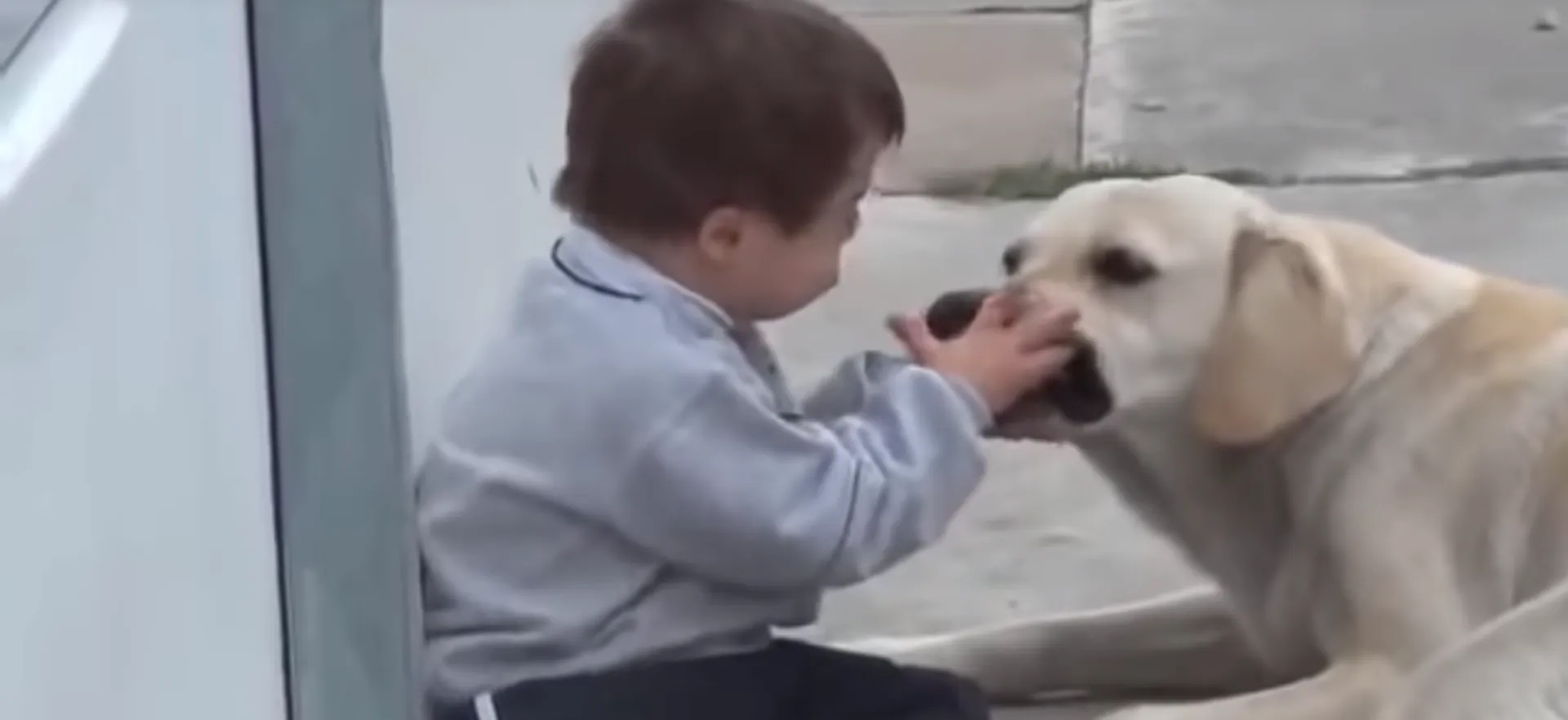 Μικροί ήρωες που συγκινούν