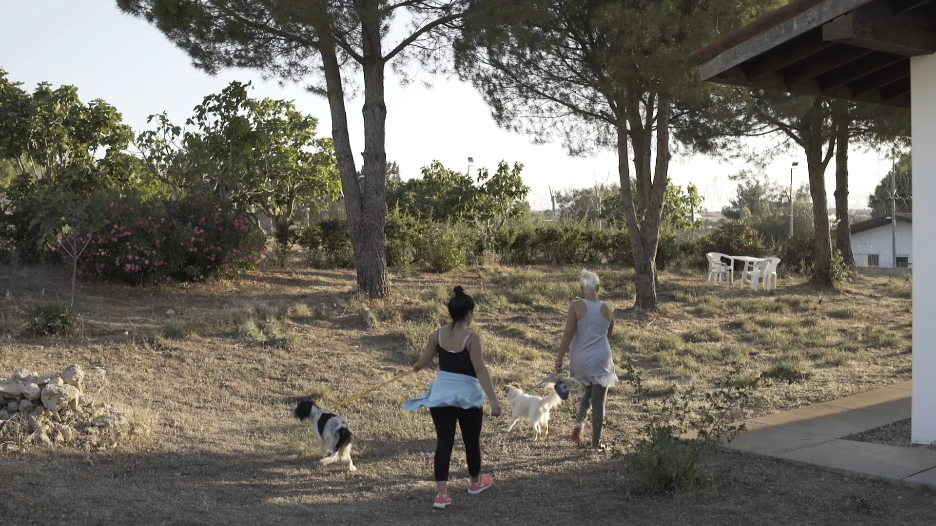 Save a Greek Stray: Συνεργασία με τις Γυναικείες Φυλακές