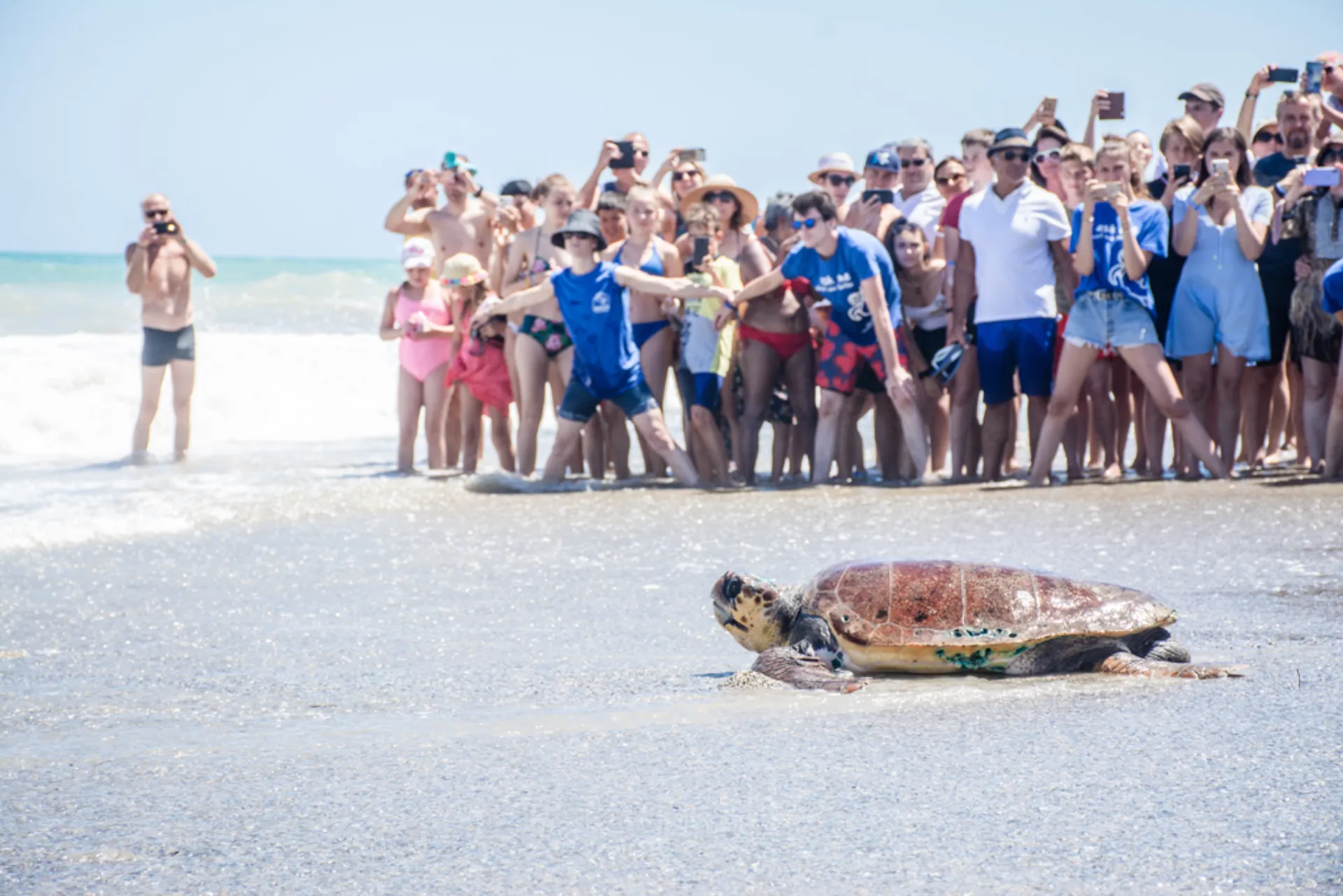 Grecotel: Δράσεις Κοινωνικής Υπευθυνότητας και Βιώσιμης Ανάπτυξης