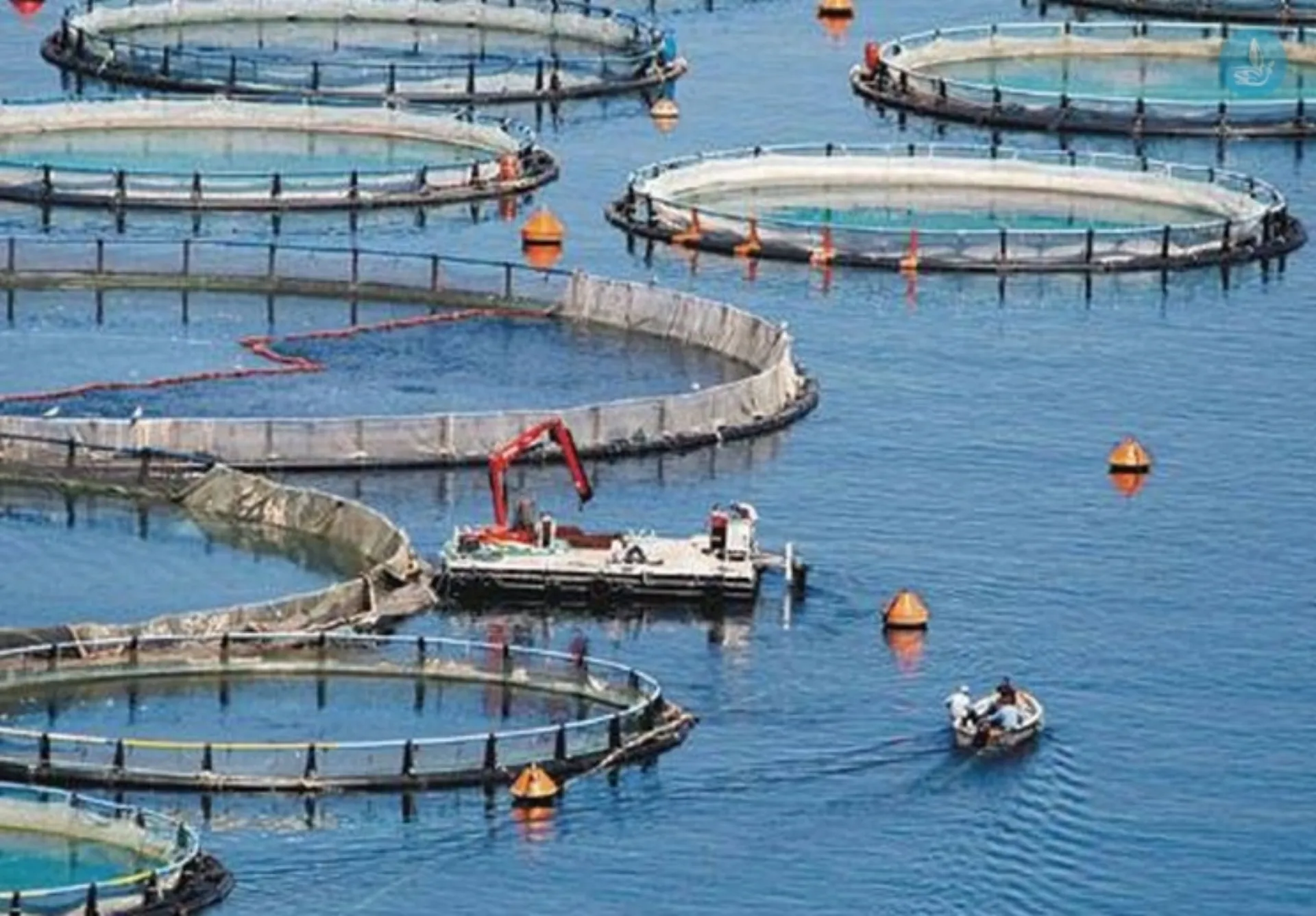 ΣΕΛΟΝΤΑ: Πιστοποίηση με το πρότυπο ASC