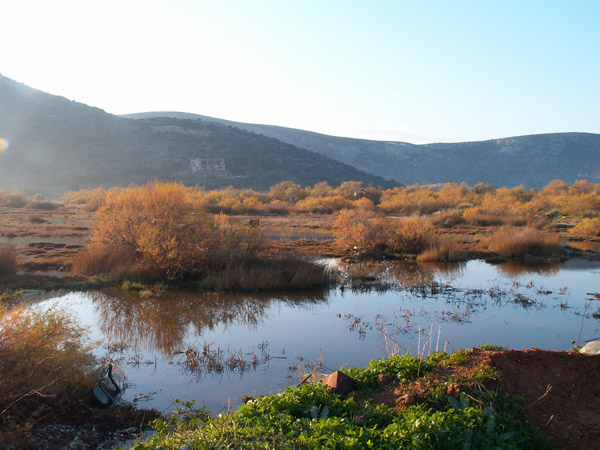 Ο Σ.Β.Π.Ε. στον εθελοντικό καθαρισμό του Υγροτόπου της Βραυρώνας