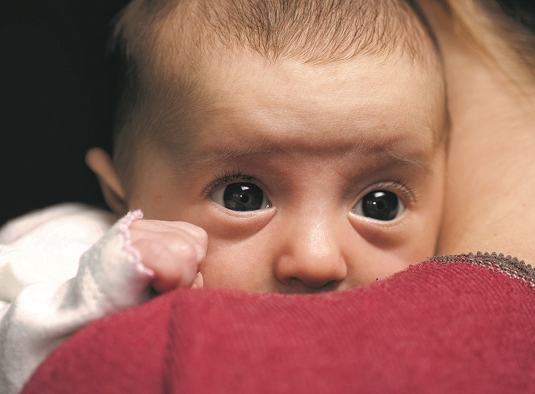 THI και Nia Vardalos στηρίζουν τον εθνικό μήνα υιοθεσίας