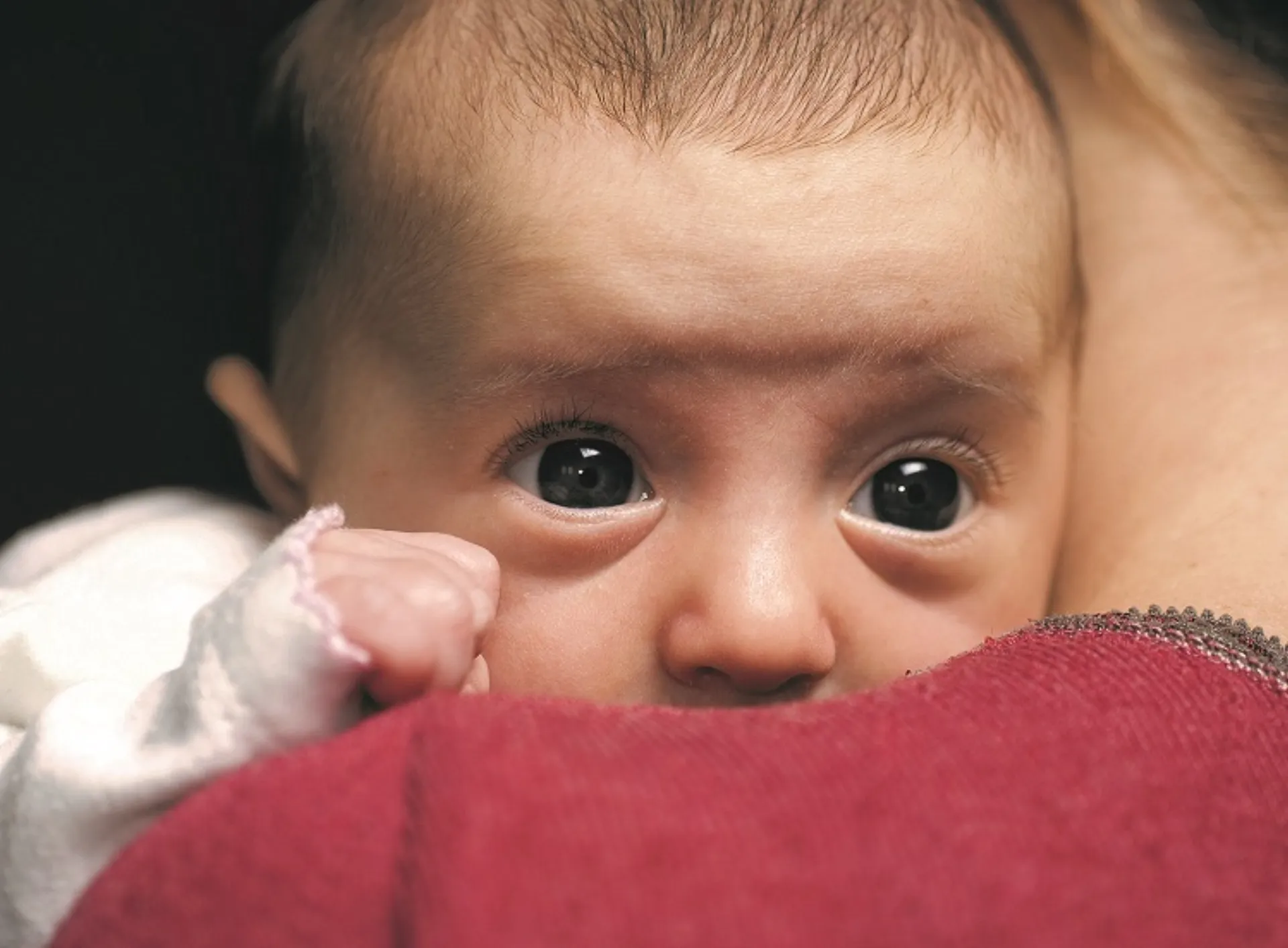 THI και Nia Vardalos στηρίζουν τον εθνικό μήνα υιοθεσίας