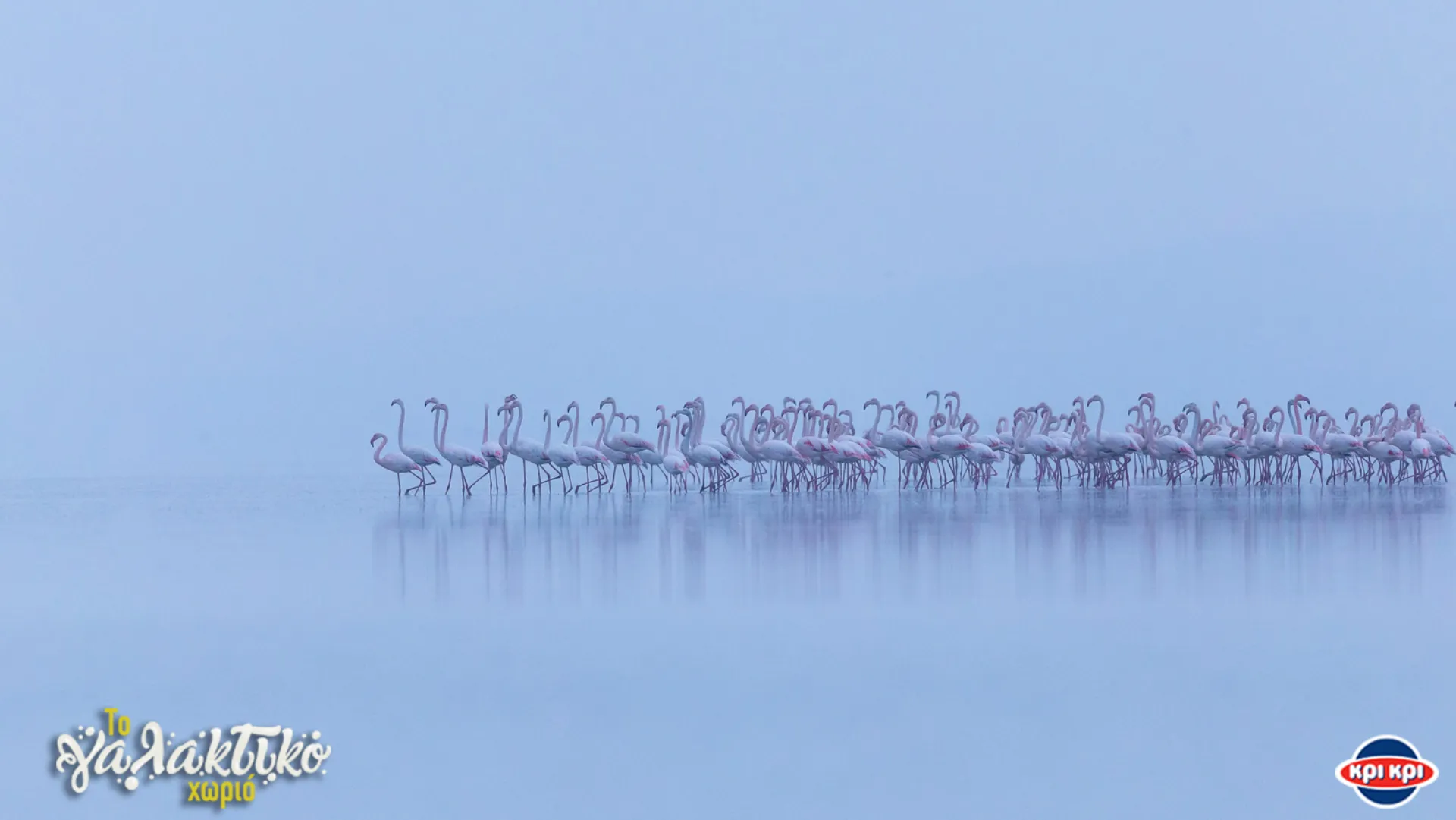 Διάκριση της Κρι-Κρι για το “Γαλακτικό Χωριό”