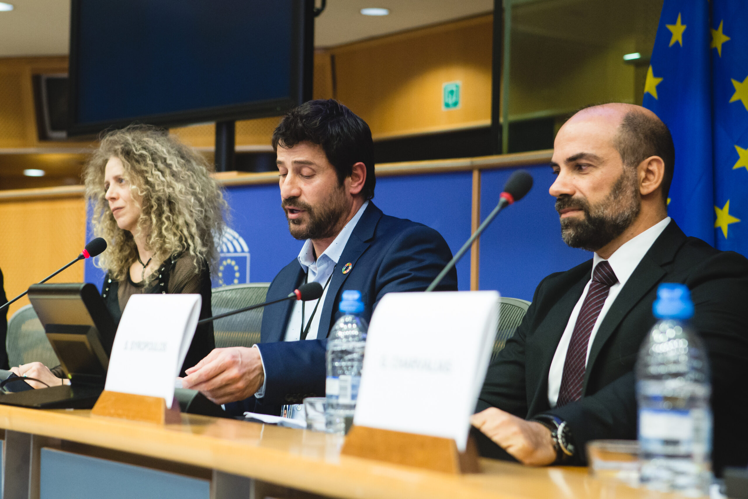 “Τέχνη, Πολιτική και Κοινωνία”, πρωτοβουλία του Αλ.Γεωργούλη