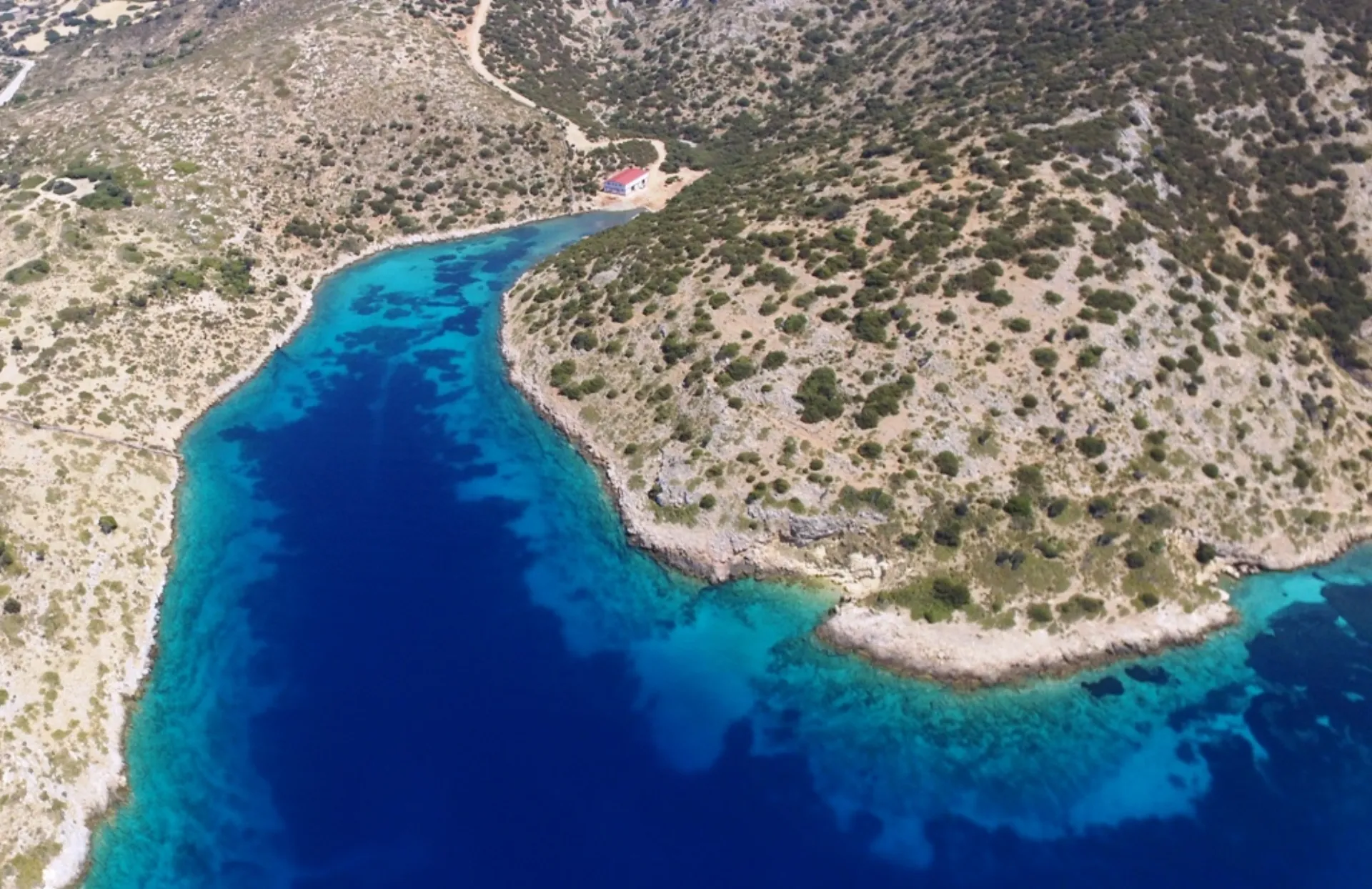 “Αρχιπέλαγος”: Βράβευση ντοκιμαντέρ μικρού μήκους