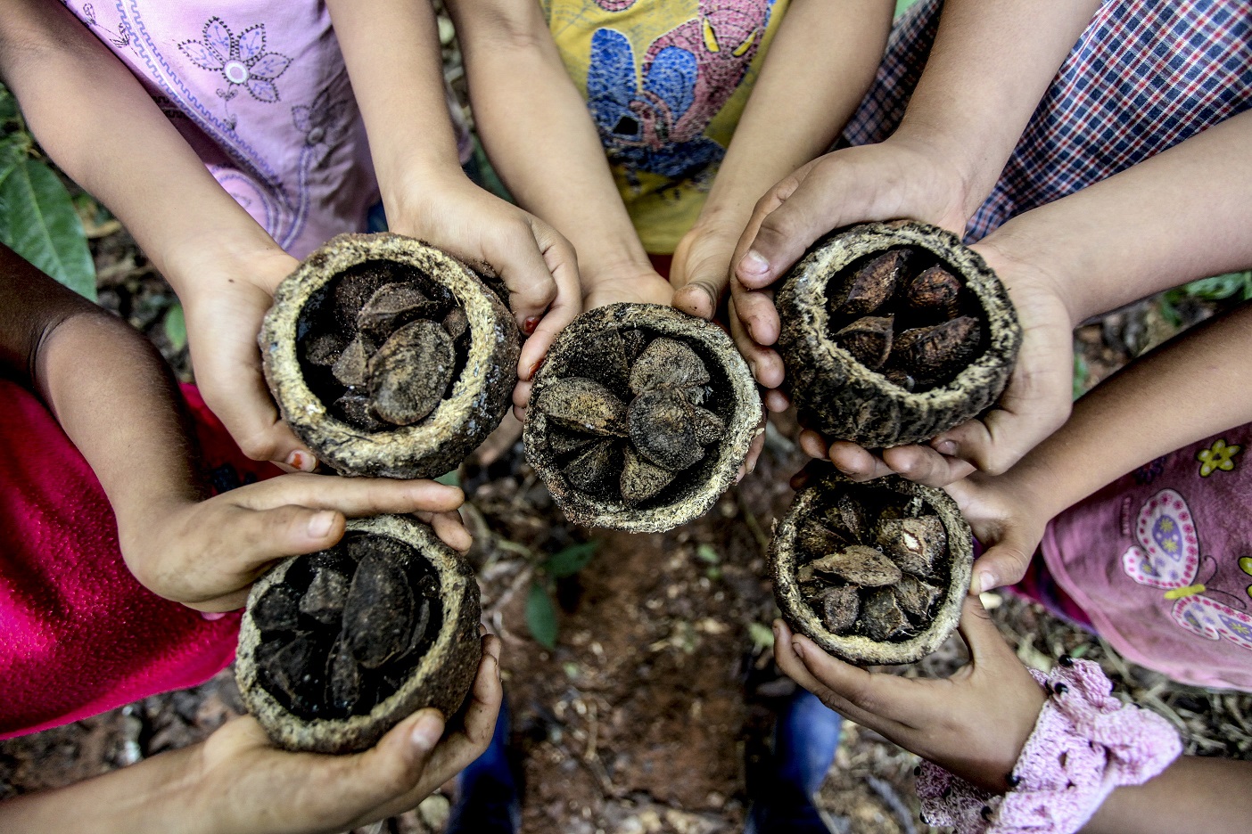 Lavazza: Δέσμευση στη Γη με μεγάλα έργα αναδάσωσης