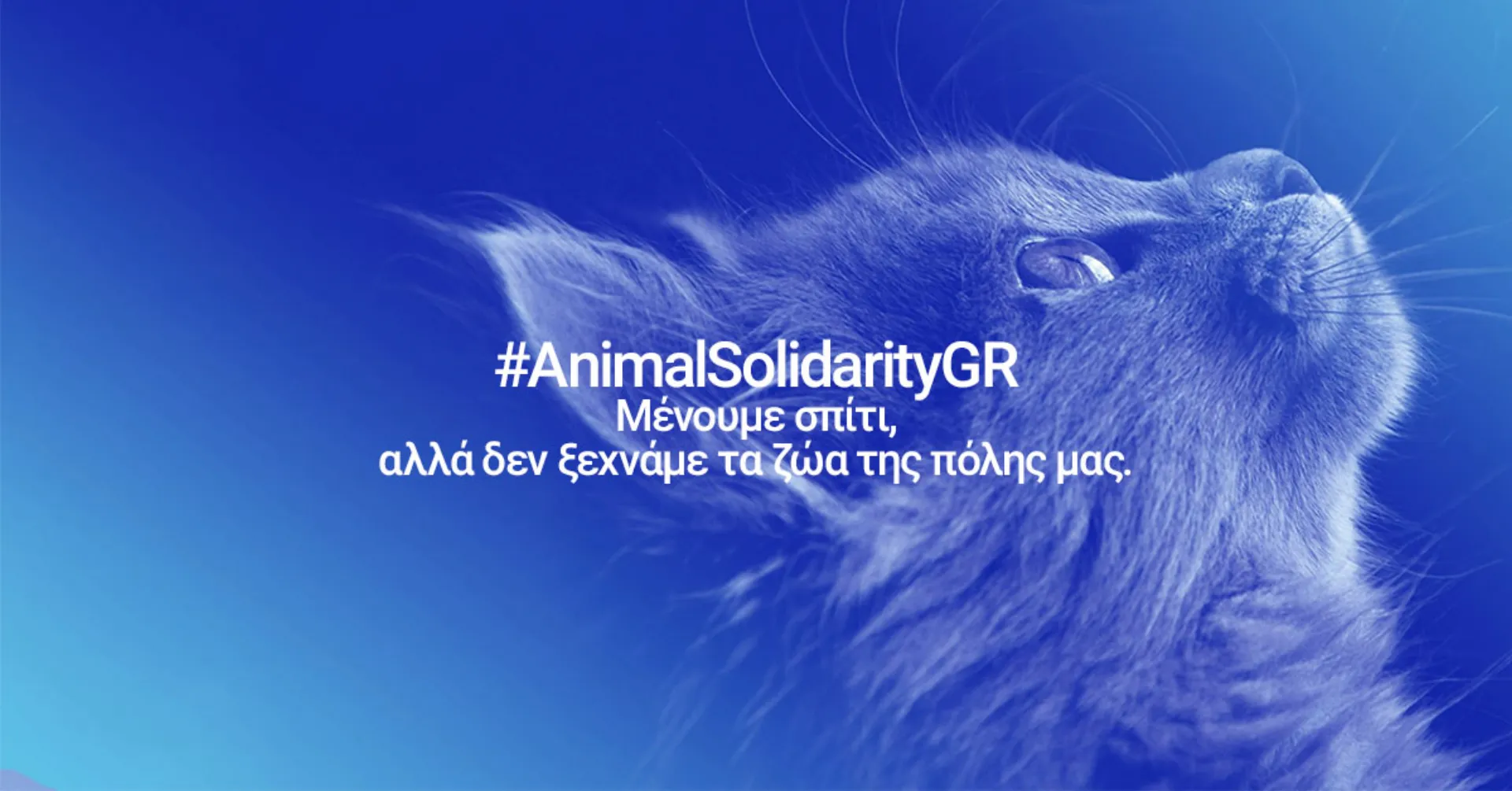 Mars Petcare: #ΜένουμεΑσφαλείς φροντίζοντας και τα ζώα