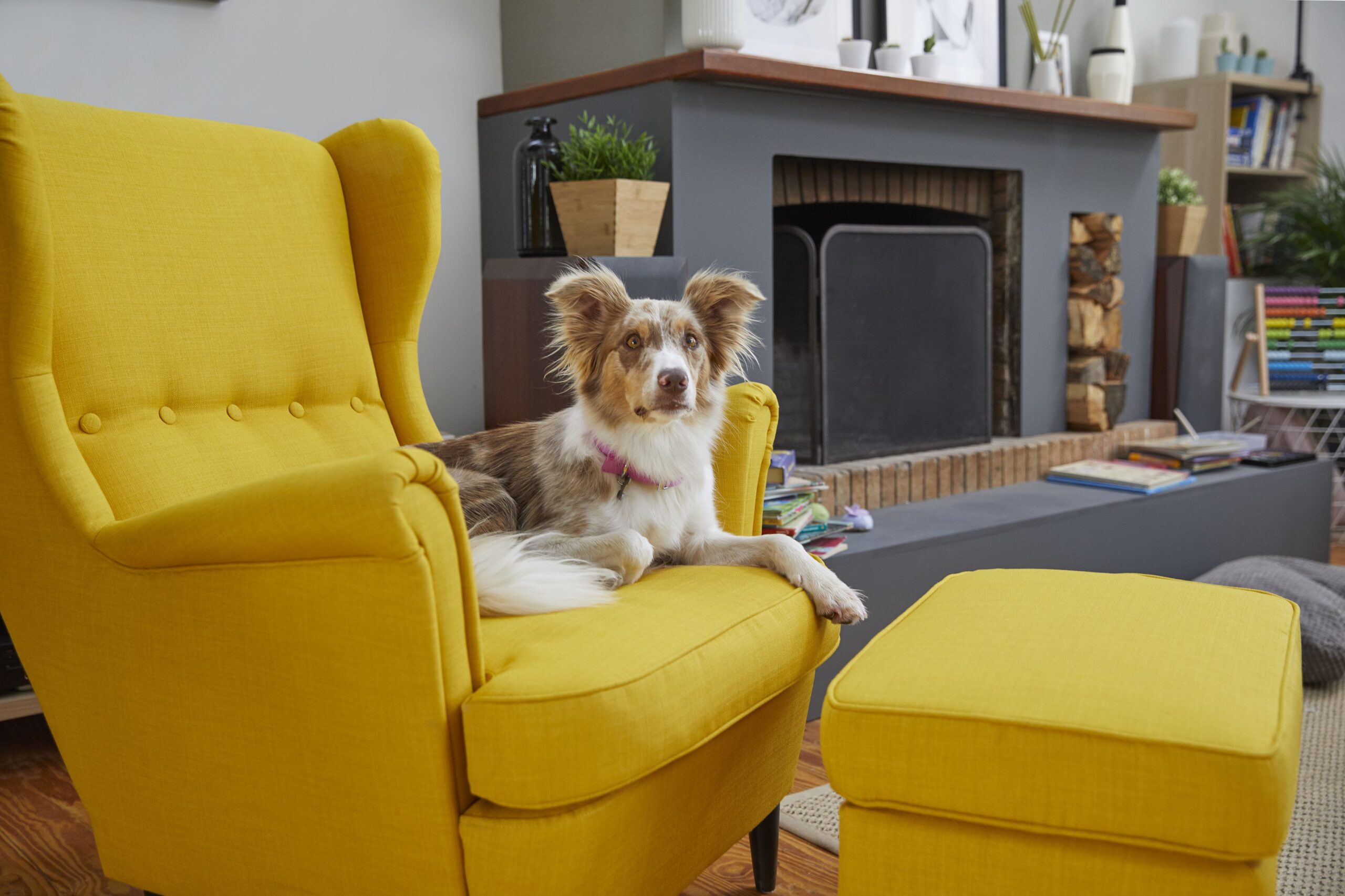 IKEA: Διακρίθηκε και για το πρόγραμμα “Σταθμοί Χαράς”