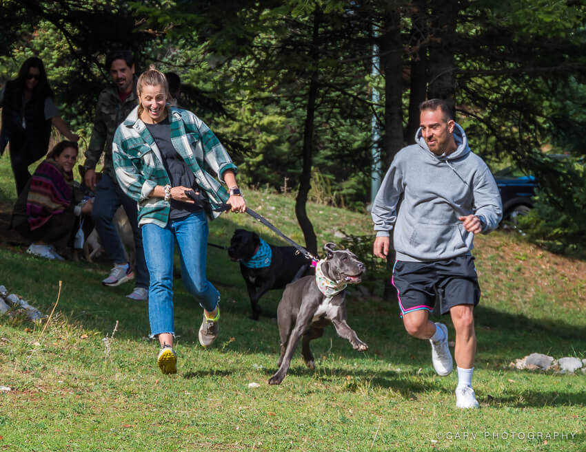 Το Dog Weekend έρχεται για 4η χρονιά στον Παρνασσό
