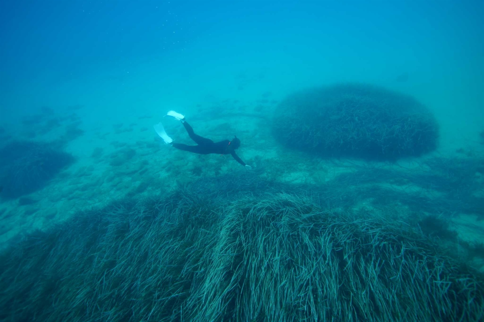 KORRES: Συνεργασία με το Ινστιτούτο Αρχιπέλαγος