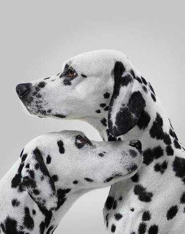 La Roche-Posay: Δράση για το μελάνωμα στα Ψαρά και τη Χίο