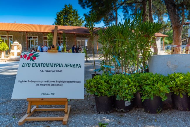 ΤΙΤΑΝ: Μια ροδιά σύμβολο για το μέλλον