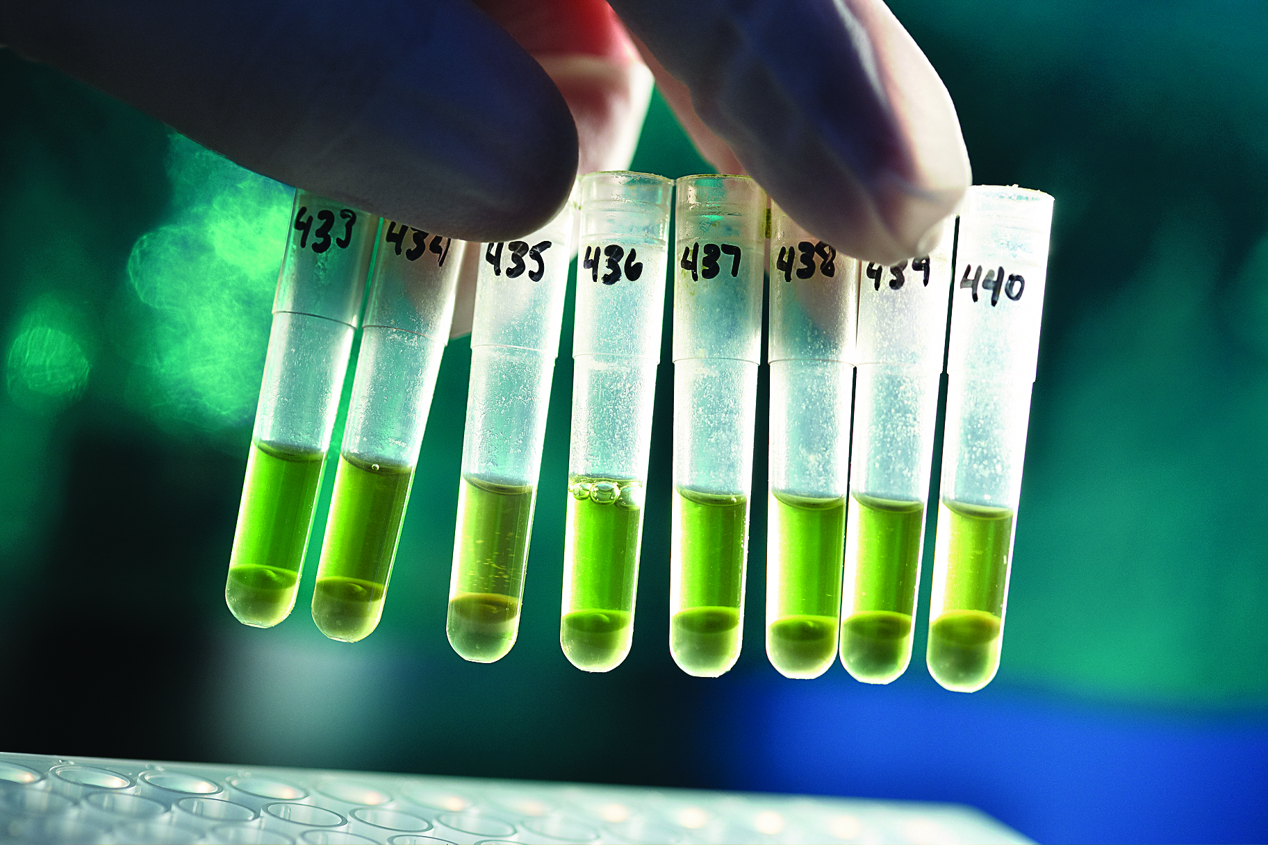 Ξεκίνησε η διαδικασία αιτήσεων συμμετοχής στο πρόγραμμα Grants4Ag της Bayer, με έμφαση στην βιωσιμότητα