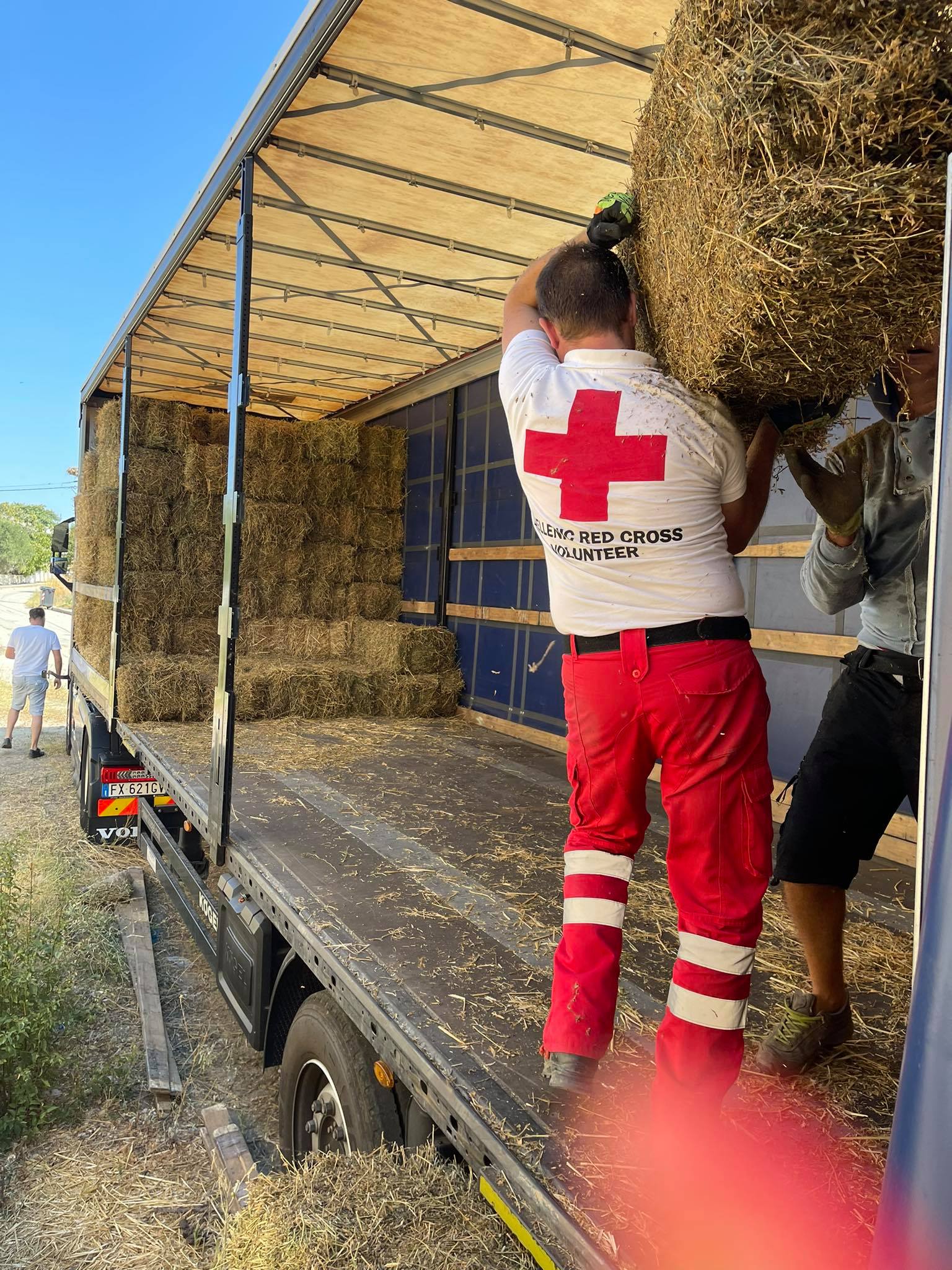 EEΣ: Διανομή μεγάλης ποσότητας ζωοτροφών στη Β. Εύβοια