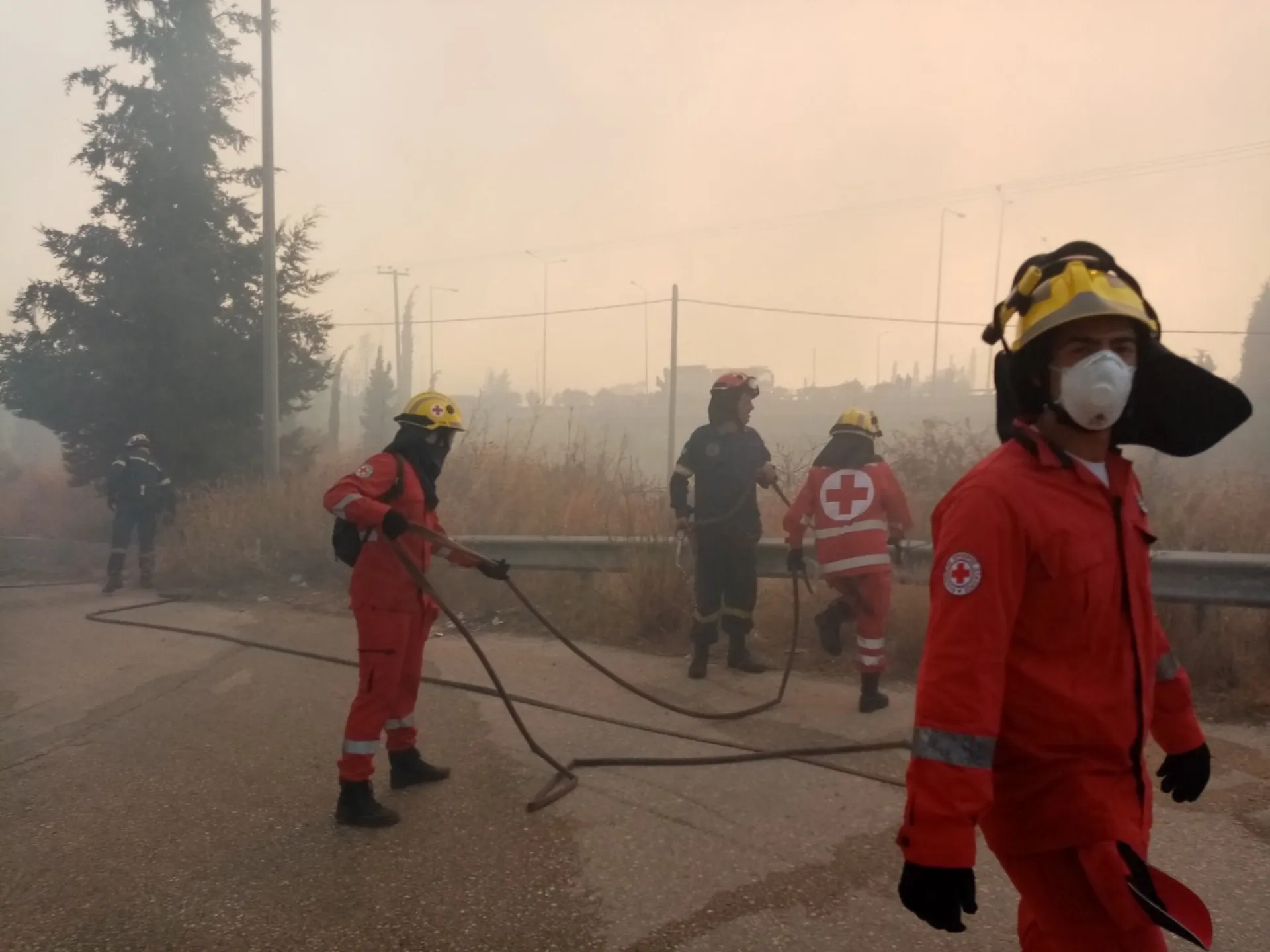 ΕΕΣ: Άνοιξε λογαριασμό και συγκεντρώνει τρόφιμα για τους πυρόπληκτους