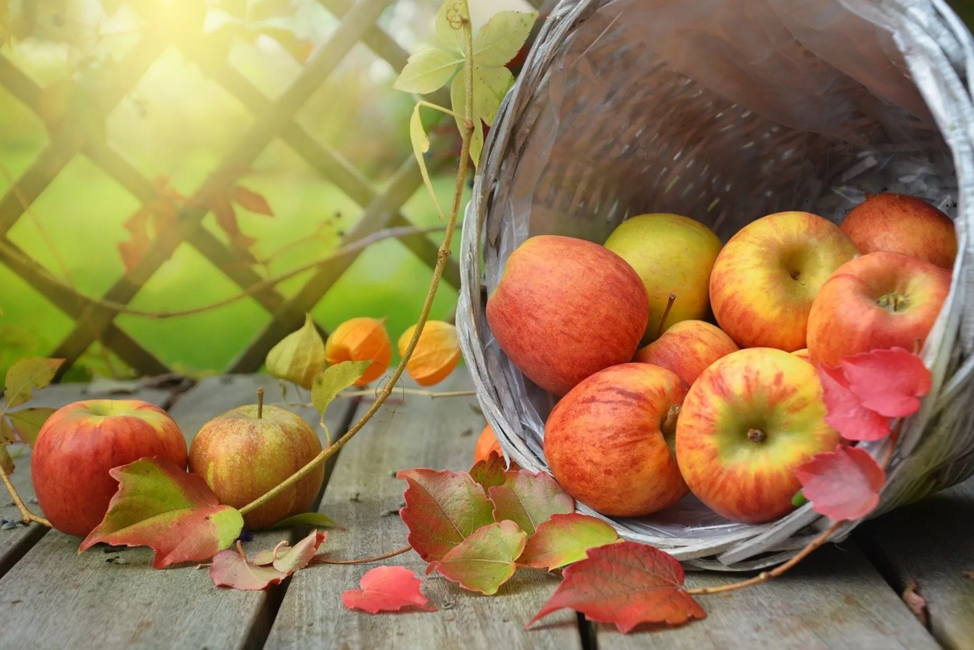 Διαδικτυακή συζήτηση για τo Food Sustainability