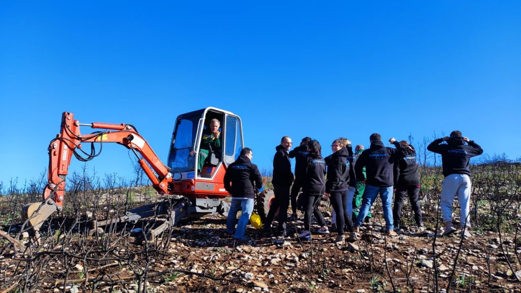 1.000 στρέμματα καμένης έκτασης στην Αττική, θα γίνουν πάλι δάσος 