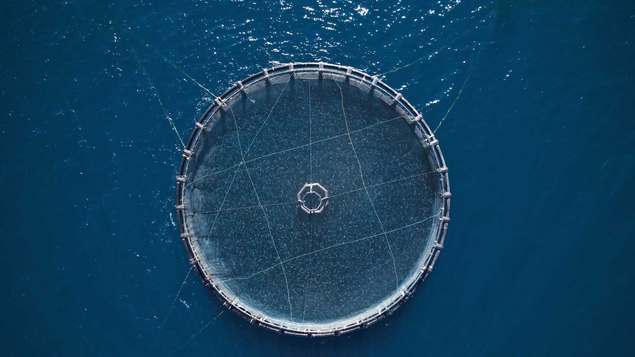 Με την υποστήριξη της ΕΛΟΠΥ η 4η Ανοικτή Ημέρα Υδατοκαλλιέργειας