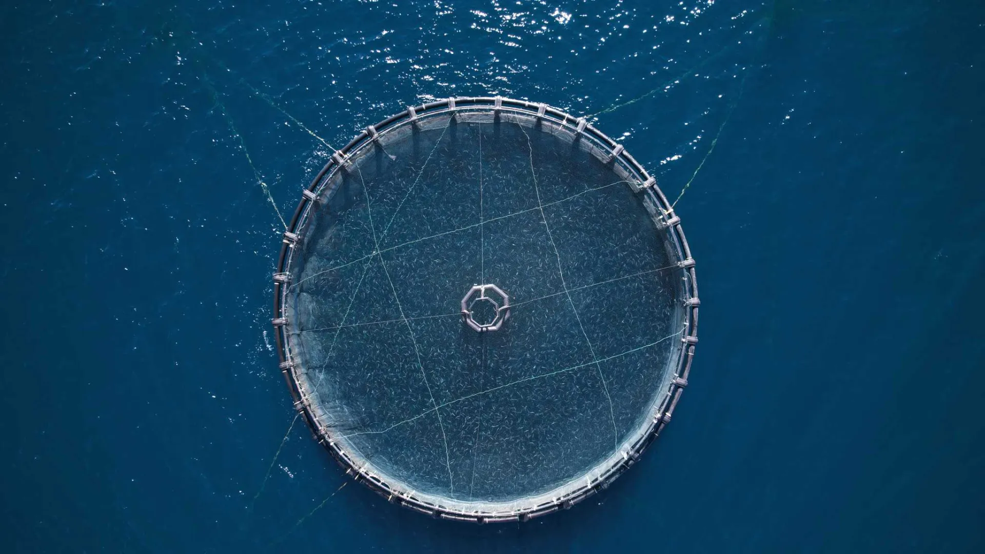 Υποτροφίες από την ΕΛΟΠΥ